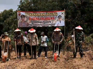 Polres Sumedang Dukung Ketahanan Pangan Lewat Penanaman Jagung di Ujungjaya