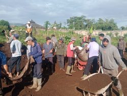 Ratusan Warga Gunungmanik Gotong Royong Bangun Koperasi Merah Putih